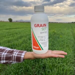 Grain Set