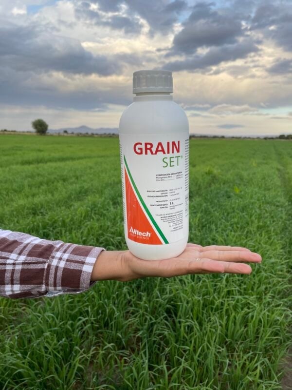 Grain Set